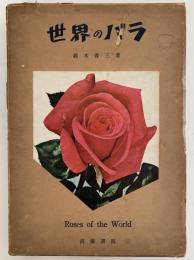 世界のバラ