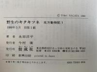 野生のキタキツネ　北方動物記１