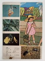 なつやすみの りかずかん　一年の学習　夏休み特別号ふろく
