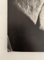 et plus tokyo remix　1992　vol.19　SEX