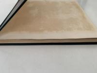 スピッツ読本
