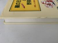 星の王子さまと野菜人格　卓越した心理治療家のための参考書