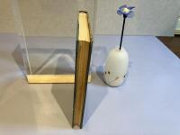 ぼくのおじいさん : 付魚河岸の今昔