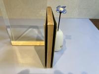 ＜丸山眞男宛署名本＞同時代の文学者