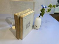 中村光夫評論集ー二葉亭四迷論　外二篇