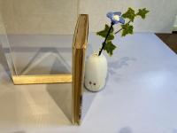 ＜高橋司三治宛署名本＞雲と砂 : 足でかいた山陰