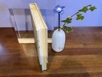 ＜献呈署名本＞河童の研究