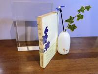 てっせん花 : 毛利昭子遺稿集