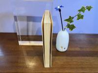 てっせん花 : 毛利昭子遺稿集