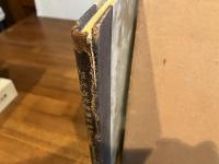 日本生存保険経験表