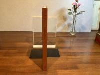 Only Zeiss-Carl Zeiss T・Lens