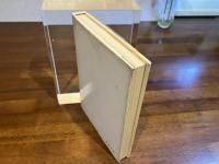 野良犬 : 放浪画家・長谷川利行