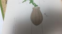 挿花百規　春夏秋冬4冊揃い