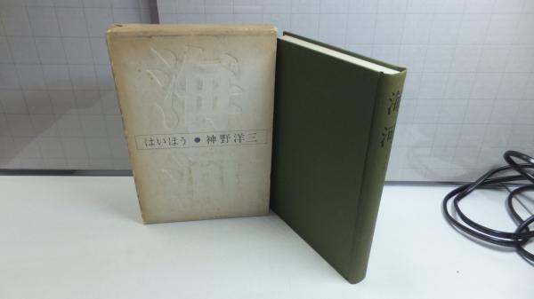 Amazon.co.jp: 英和 海事大辞典 : 逆井 保冶: 本