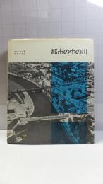 都市の中の川