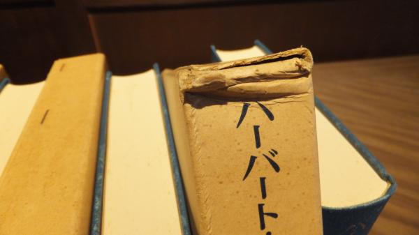 見事な くもも。 法華経信仰の諸形態  人文/社会