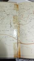 ねずみ・しらみ・文明 : 伝染病の歴史的伝記
