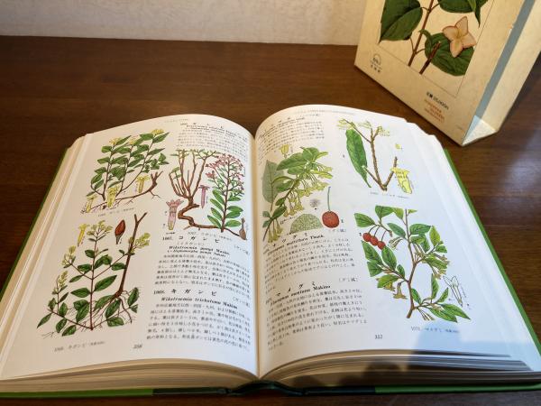 原色牧野植物大図鑑(牧野富太郎 著 ; 本田正次 編) / 古本、中古本、古 