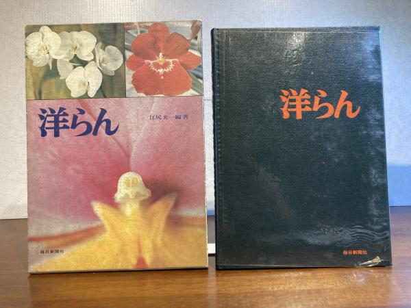 芹沢銈介作品集 5巻＋別巻 6冊揃い / 観魚堂 / 古本、中古本