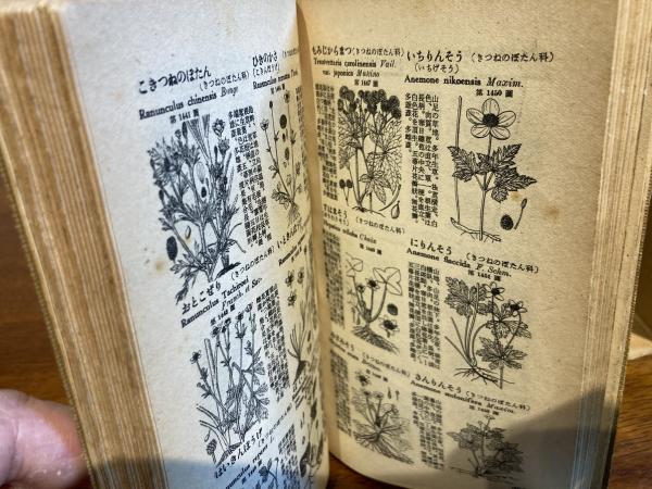 牧野日本植物図鑑 : 学生版(牧野富太郎 著) / 古本、中古本、古