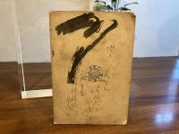 最新游泳術