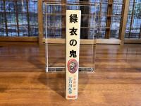 少年探偵江戸川乱歩全集ー緑衣の鬼