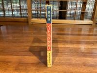 児童文庫ーノートルダムの怪人