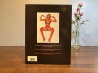 Hsjime  Sorayama 　空山基（洋書）