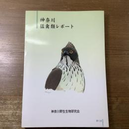 神奈川猛禽類レポート