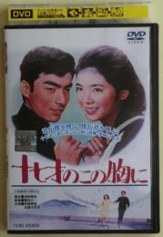 十七才のこの胸に　DVD　レンタル落ち