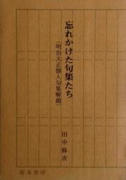 忘れかけた句集たち : 明治大正個人句集解題