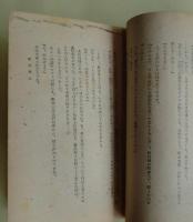 第五戰線 : スパイ小説
