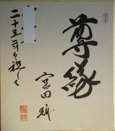 宮田輝色紙