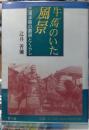 牛馬のいた風景 三浦半島の濃厚とくらし