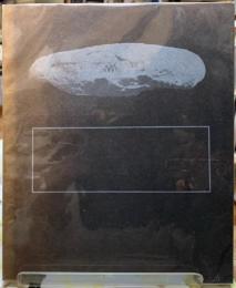 glass beret  the selected poems of Kitasono Katue