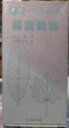 原寸イラストによる 落葉図鑑