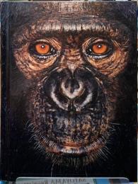James & Other Apes