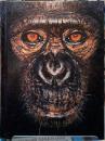 James & Other Apes
