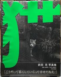 猫　TOKYO WILD CATS