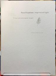 光の化石　瑛九とフォトグラムの世界