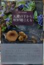 瓦礫の下から唄が聴こえる　山小屋便り