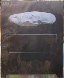 glass beret the selected poems of Kitasono Katue