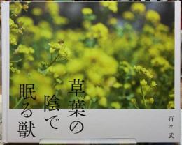 草葉の陰で眠る獣