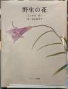 野生の花