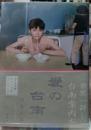 愛の台南