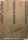 真性活字中毒者読本　版画考證／活字書体史遊覧