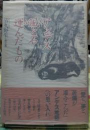 アンデスの風と石が運んだもの