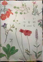 いのちをうつす　菌類　植物　動物　人間