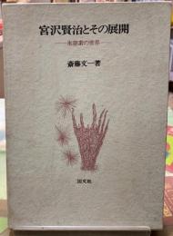 宮沢賢治とその展開　氷窒素の世界