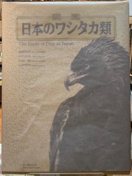 図鑑 ワシタカ類 古本 中古本 古書籍の通販は 日本の古本屋 日本の古本屋